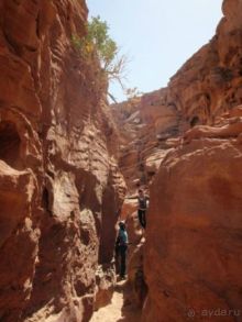 фото Domina Coral Bay Prestige