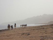 фото Domina Coral Bay Prestige