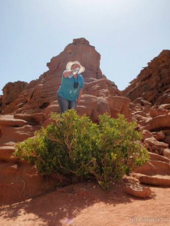 фото Domina Coral Bay Prestige