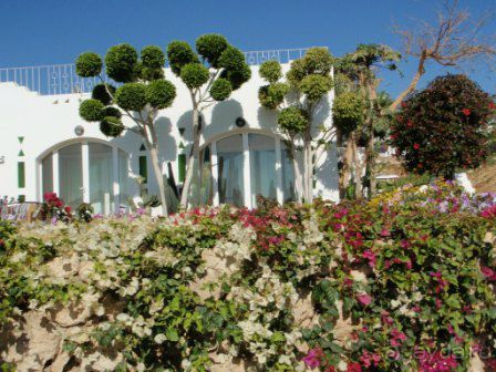 фото Domina Coral Bay Prestige