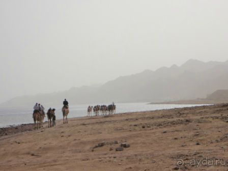 фото Domina Coral Bay Prestige