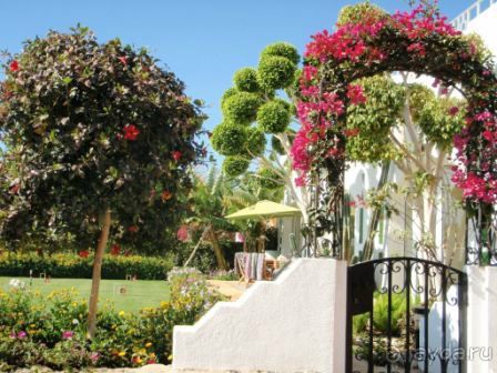 фото Domina Coral Bay Prestige