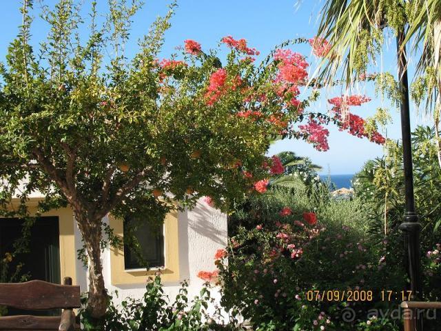 фото Chrissi Amoudia