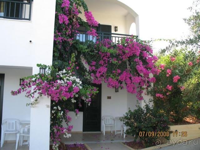 фото Chrissi Amoudia