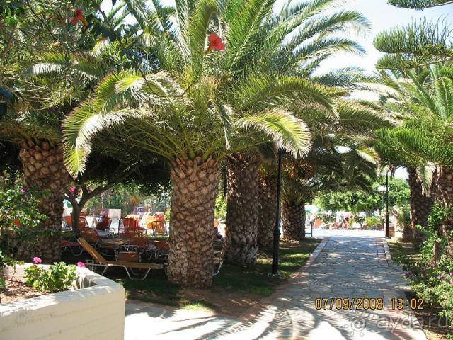 фото Chrissi Amoudia