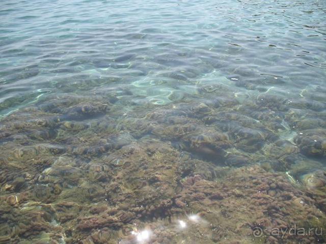 фото Chrissi Amoudia