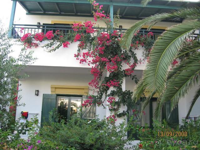 фото Chrissi Amoudia