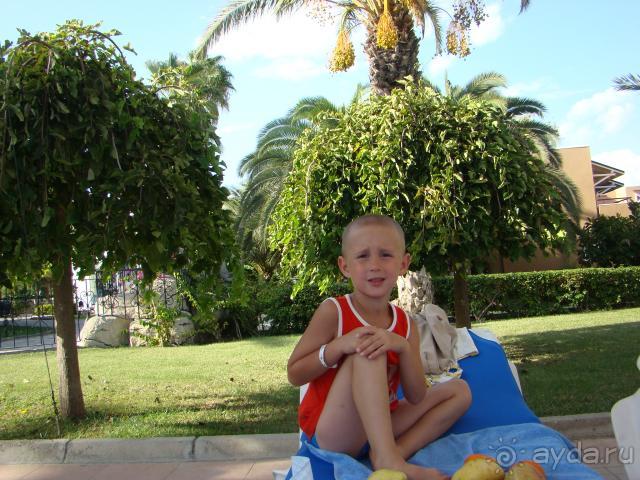 Честное пиратское