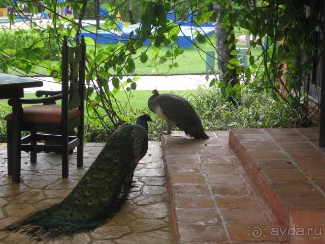 Теперь о русских там знают не понаслышке!!!