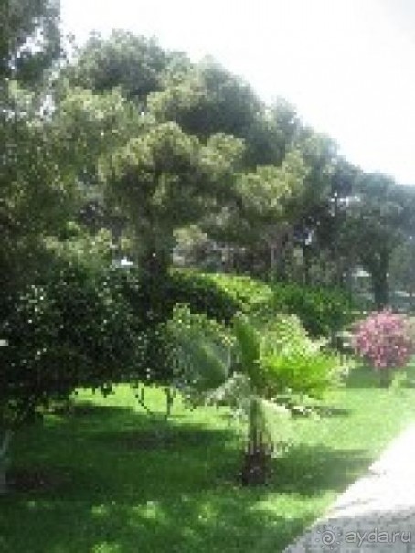 Дорожка в парке