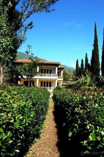 фото Энергетик