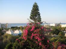 фото Corfu Hotel