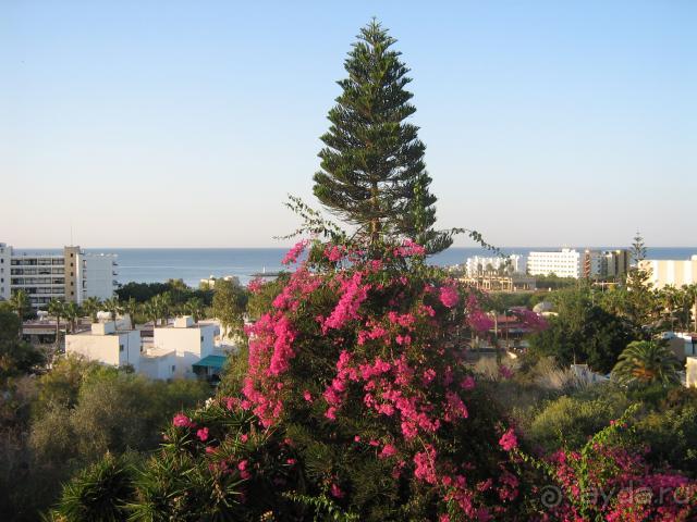 Отличный отель эконом-варианта!