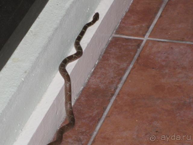 Если есть возможность не ехать, не ездите!