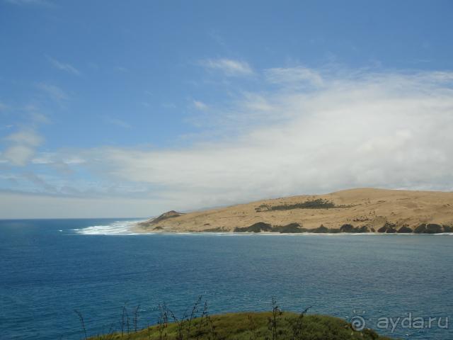 Новая Зеландия