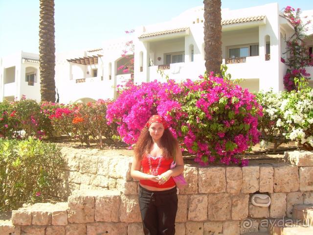 Continental Garden Reef Resort (ex. Intercontinental)