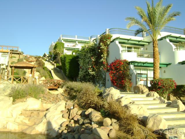 фото Hilton Sharm Waterfalls Resort