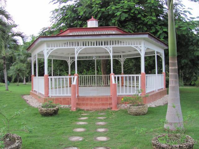 фото Barcelo Bavaro Palace