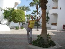 фото Marlin Inn Azur Resort 