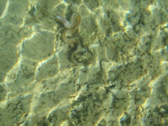 Здесь через год будет роскошно, не хуже Наама Бэй