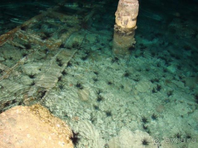 фото Villa Ammende