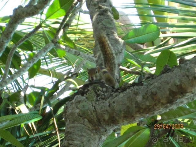 фото Vivanta By Taj Bentota