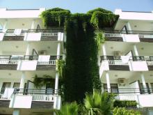 домик в деревне