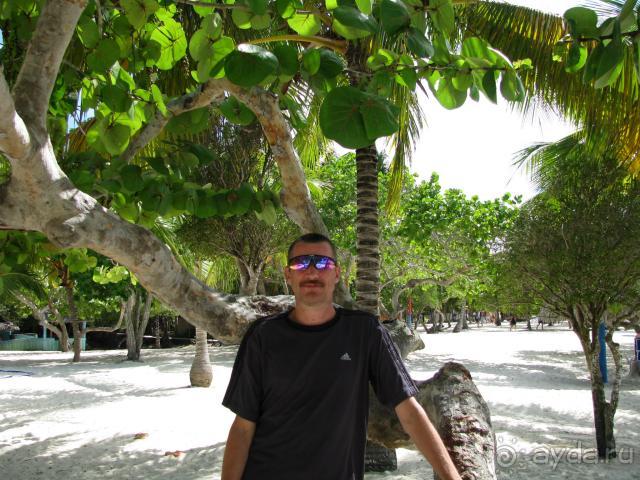 качествено и недорого