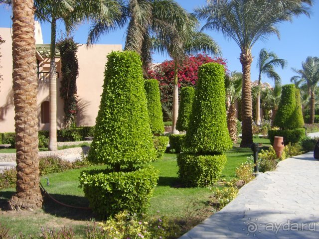 фото Ali Baba Palace