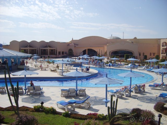 фото Трапезица