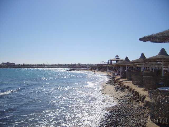 фото Трапезица