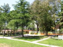 фото Potidea Palace Hotel