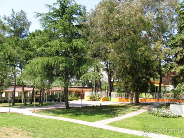 фото Potidea Palace Hotel