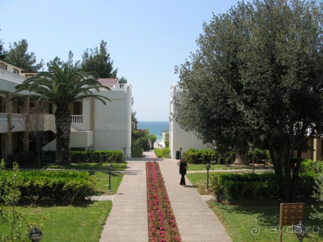 фото Potidea Palace Hotel