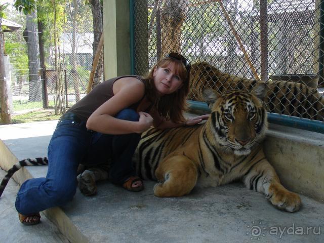 фото Botany Beach Resort