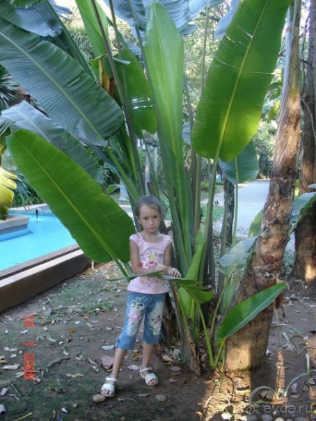 фото Botany Beach Resort