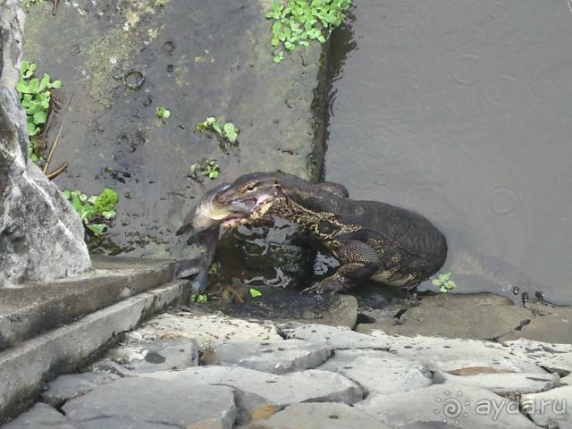 фото Intercontinental Bali Resort