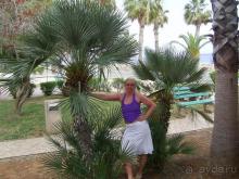 фото Atlantica Miramare Beach