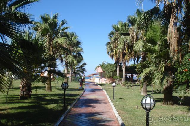 Не ожидали такого гостеприимства!