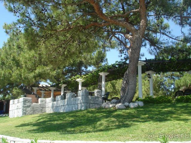 Территория отеля