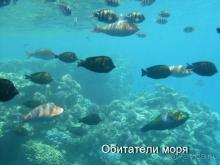 Шарм Эль Шейх