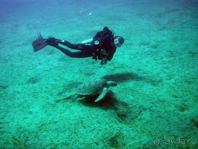 фото Abou Dabbab