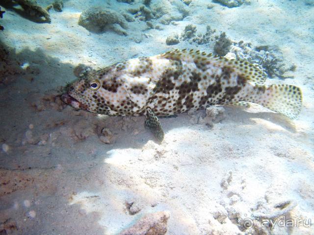 фото Dessole Royal Rojana Resort