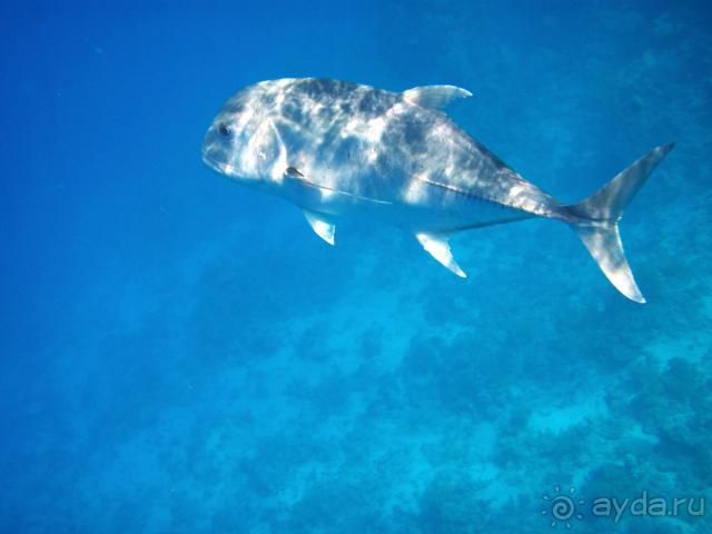 фото Dessole Royal Rojana Resort