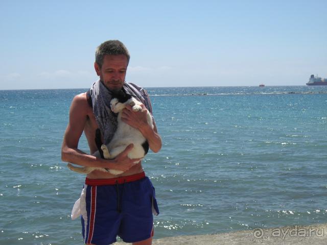 фото Crusader Beach Hotel