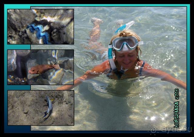 фото Albatros Aqua Park Resort