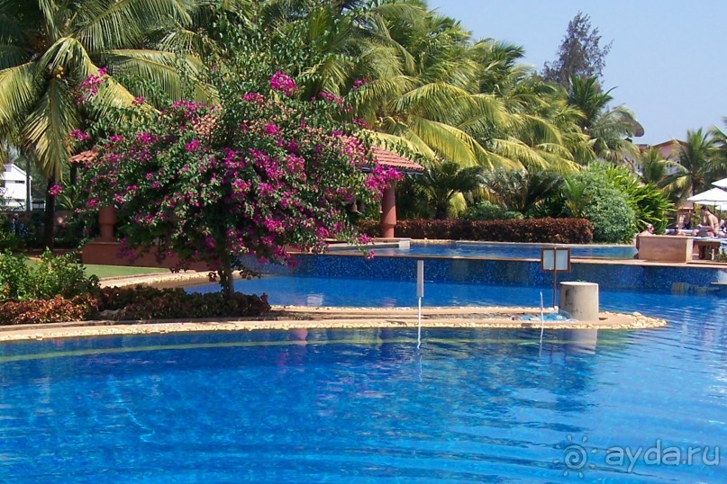 Гоа не без уродов!!!