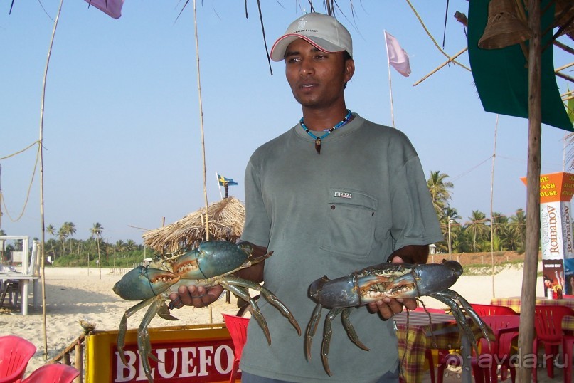 Гоа не без уродов!!!
