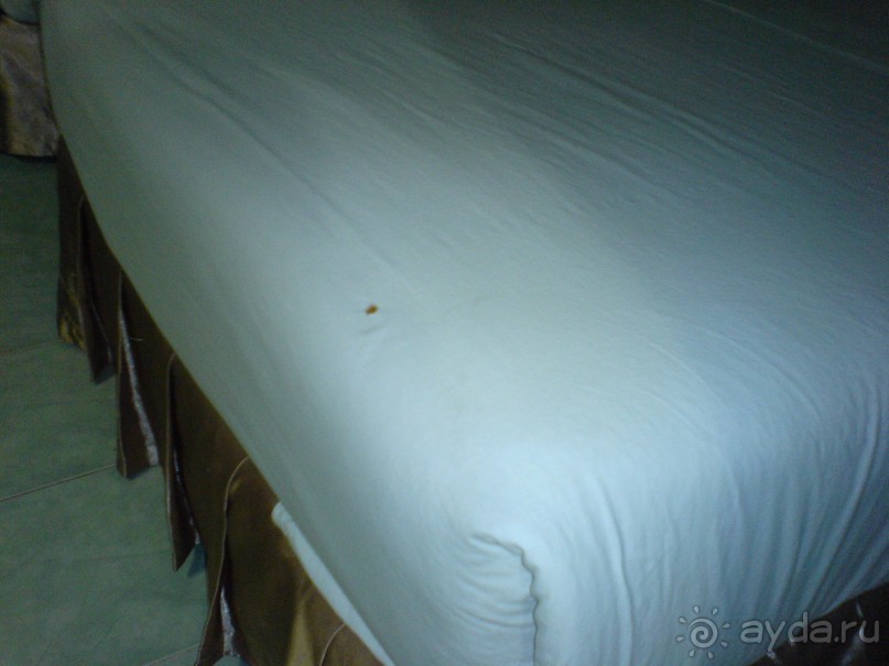 фото Lotos Hotel