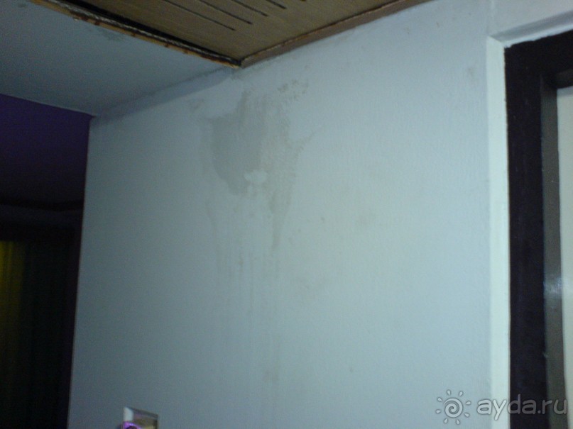 фото Lotos Hotel